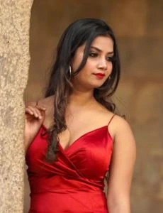 call girl service in Sri Krishna Puri